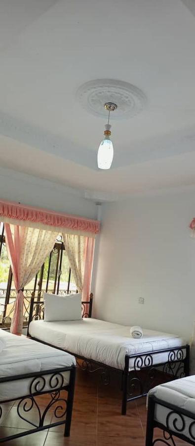 Bright Star Hotel 아루샤 외부 사진